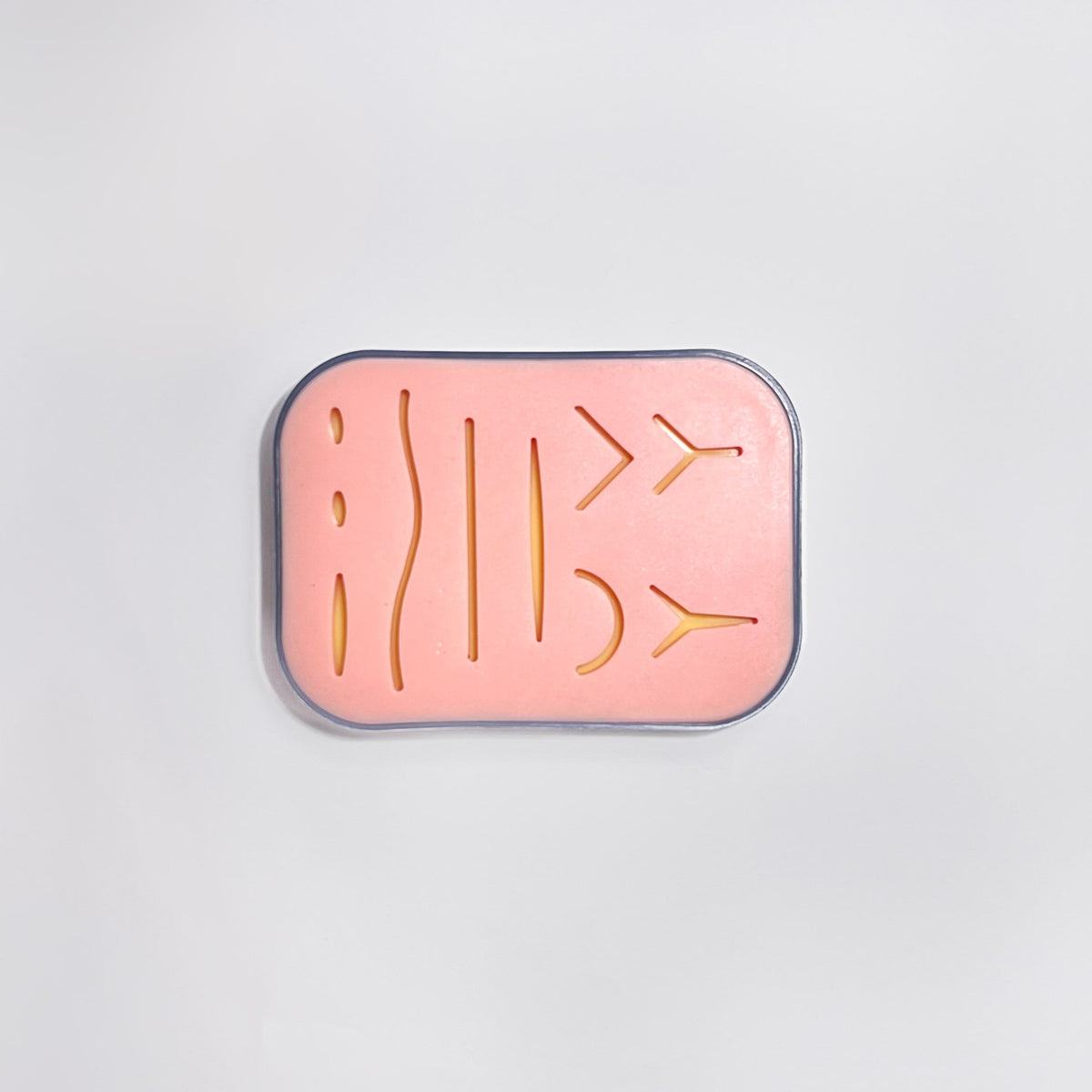 Simulador de Sutura com Base