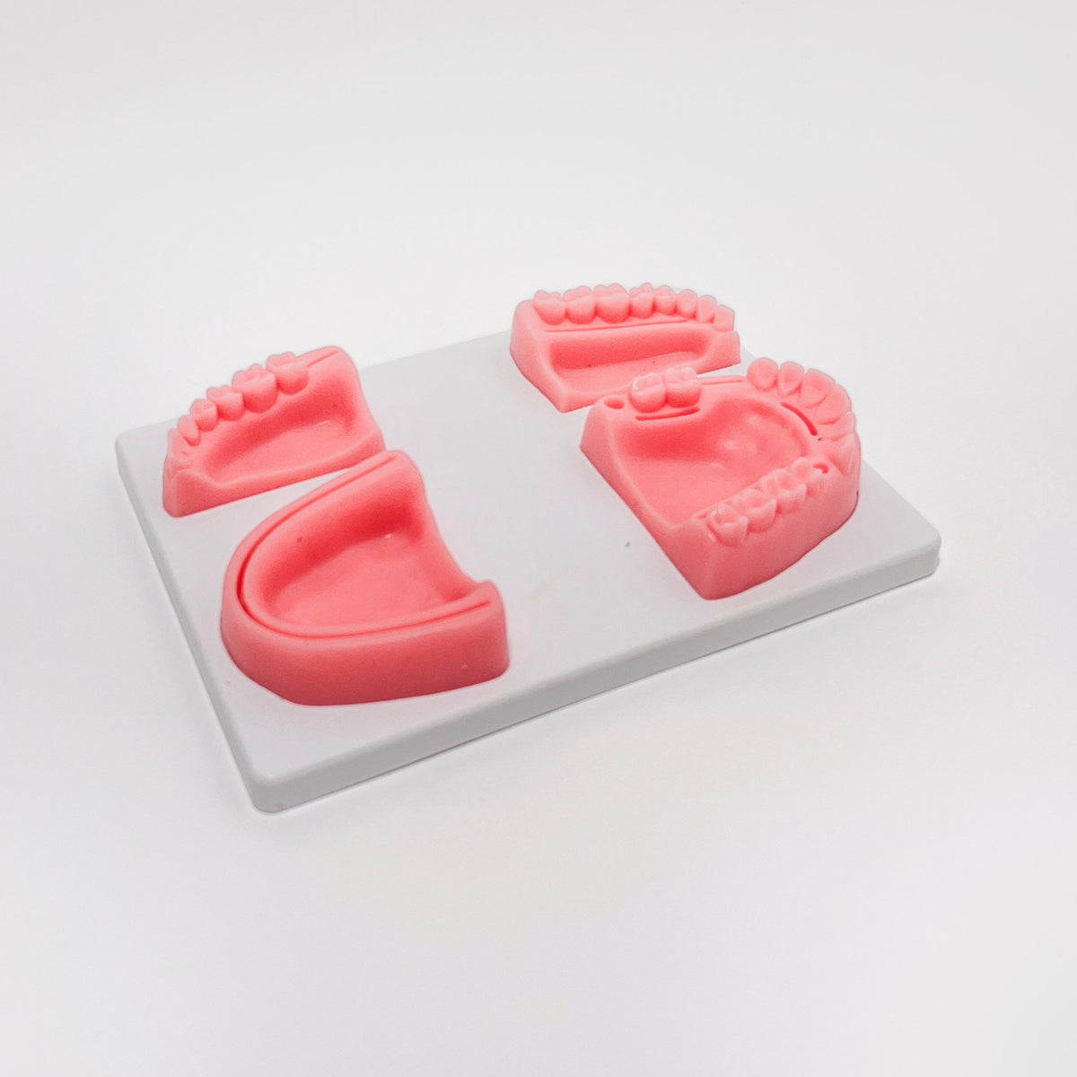 Simulador de sutura Dentária